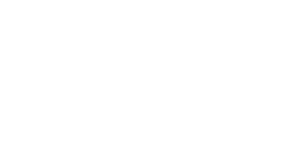 leo_icon21.png